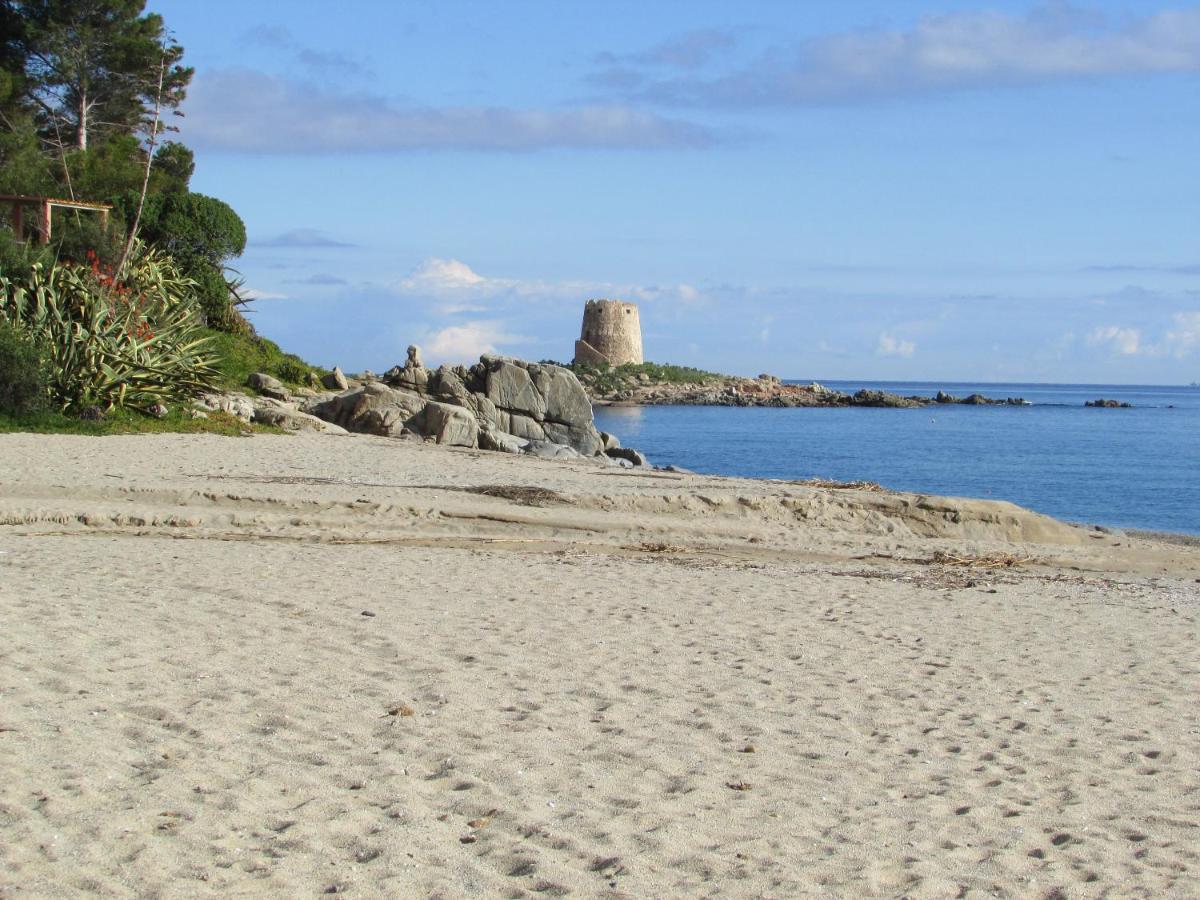 巴里萨尔多Estate In Ogliastra Sa Figumoru 5 Minuti Al Mare公寓 外观 照片